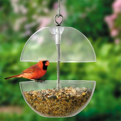  : 11-birdfeeder.jpg