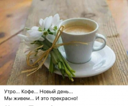  : IMG_7561.jpeg