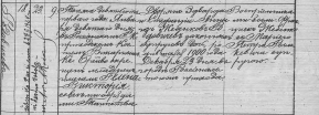  : 1901  .jpg
