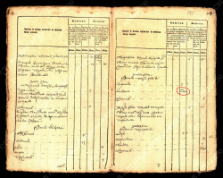  :   1782.jpg
