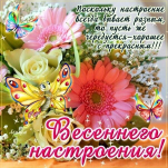  : IMG-20250325-WA0011.jpg