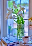  : 60.webp