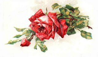  : 1910 .  .jpg