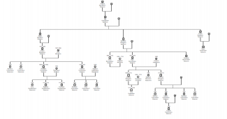 file.png, 196503 