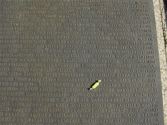  2.jpg, 160209 