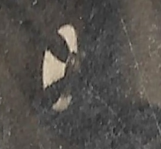  : Scan0065a.jpg