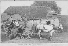  : 19160701 Uodagalve_thumb.jpg