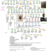  :   ..33.1-Page-111.jpg