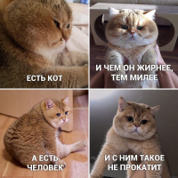  :   .png