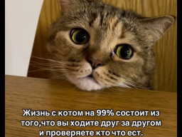  : IMG_4740.png