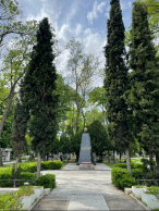  : IMG_2646.jpeg