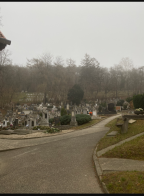  : IMG_20250606_175026.png