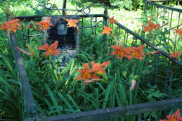  : IMG_8540_ .JPG