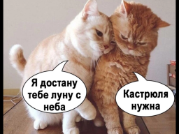  : IMG_4751.png