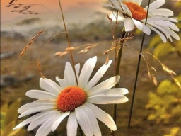  : IMG_4763.png