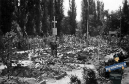  : 3. 43  .     . 1942 .        %