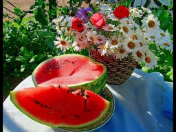  : IMG_4772.png