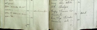  : 1795.JPG