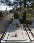  : IMG_4489.jpeg