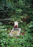  : IMG_4557.jpeg