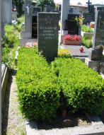 : IMG_4690.jpeg