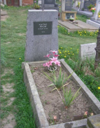  : IMG_4734.jpeg