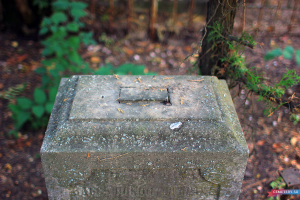 4.jpg, 418624 