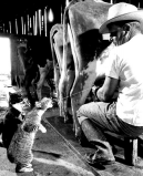  : 20130205043134-43533.jpg