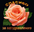  : 46.jfif