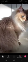 Screenshot_20250725_210401_YouTube.jpg, 515277 