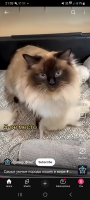 Screenshot_20250725_210338_YouTube.jpg, 847455 