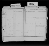 1894 .jpg, 1007022 
