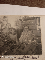  :   ...  , ,,  1955.jpg