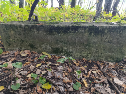 IMG-20250921-WA0000.jpg, 242468 