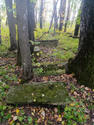 IMG-20250921-WA0002.jpg, 274626 