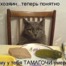  : 602062_495363550521753_1920382378_n.jpg