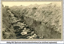 47       .JPG, 129553 