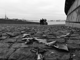  : IMG_20251005_151818.jpg