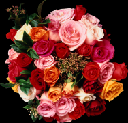  : 0_3ac78_3368800d_orig.png