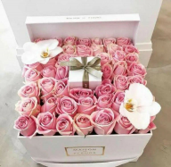  : IMG_20251007_075749_025.jpg