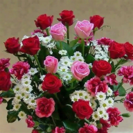  : IMG_20251008_150055_423.jpg