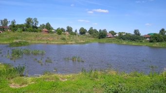  : IMG_20240707_125547.jpg