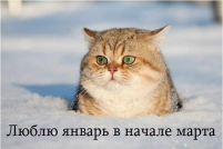  : 0_9f57d_5fae99c0_XL.jpeg