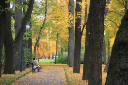 IMG_9952.JPG, 1435047 