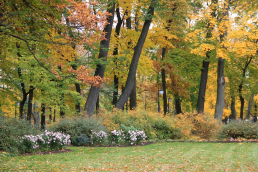 IMG_9953.JPG, 1732235 