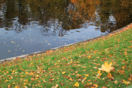 IMG_9961.JPG, 1484288 