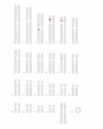   2025-10-27 092620.png, 21323 