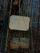  : photo_2025-10-29_16-15-51.jpg