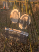  : photo_2025-10-29_16-15-43.jpg