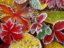  : IMG_20251031_201528_948.jpg